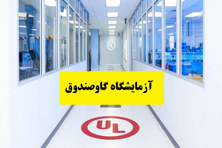 آزمایش گاوصندوق در آزمایشگاه