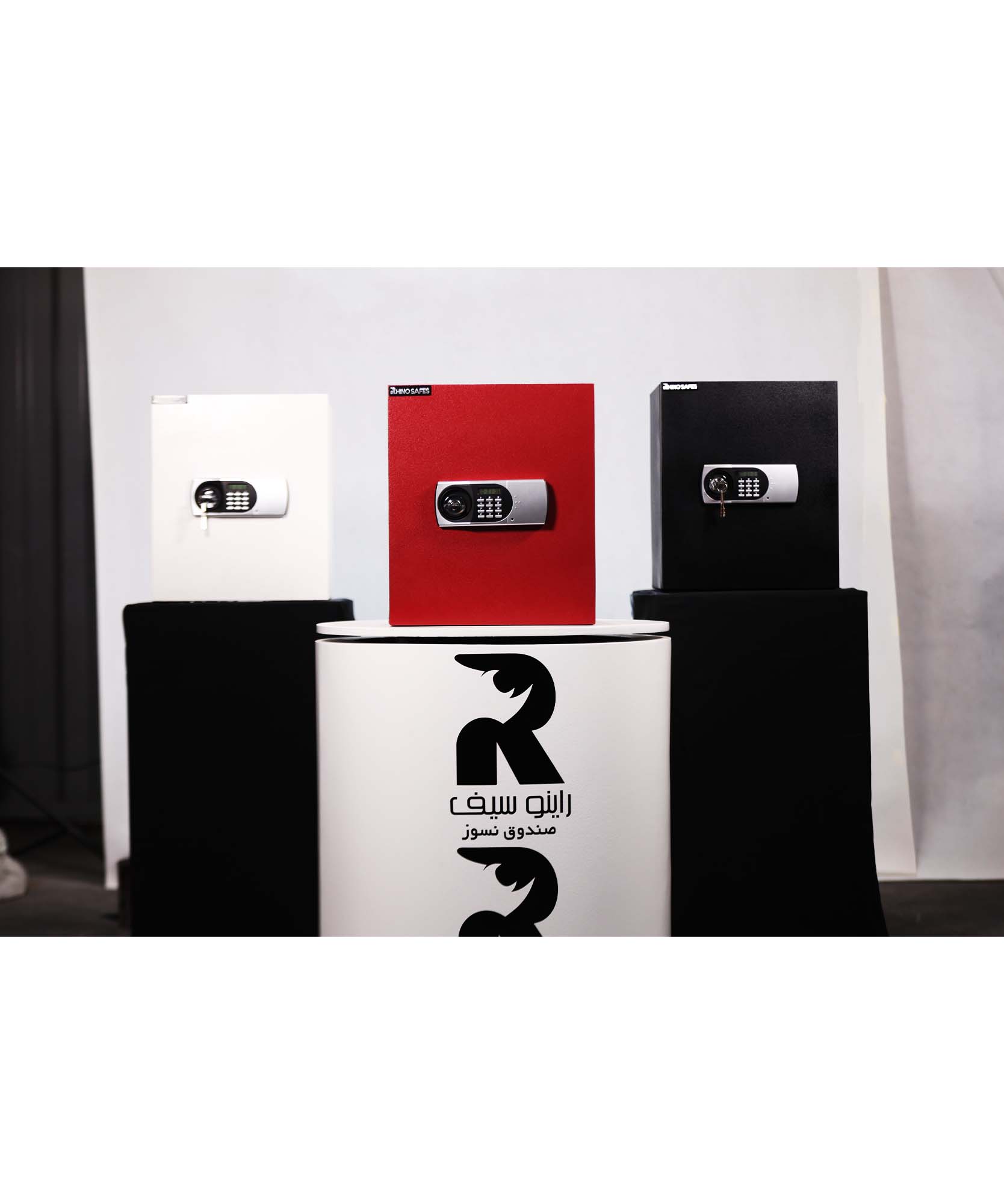 گاوصندوق اقتصادی راینو